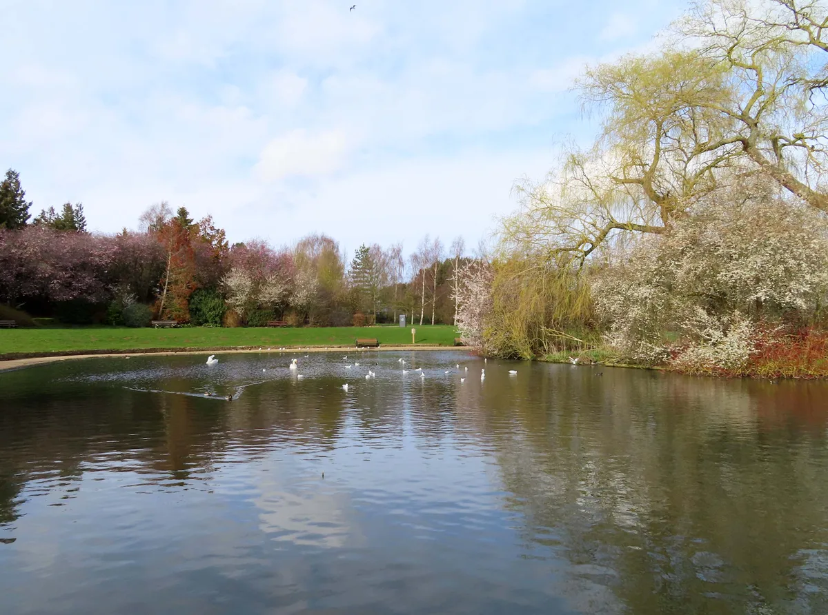 Cutteslowe parkrun — Walk, Summertown, Oxford