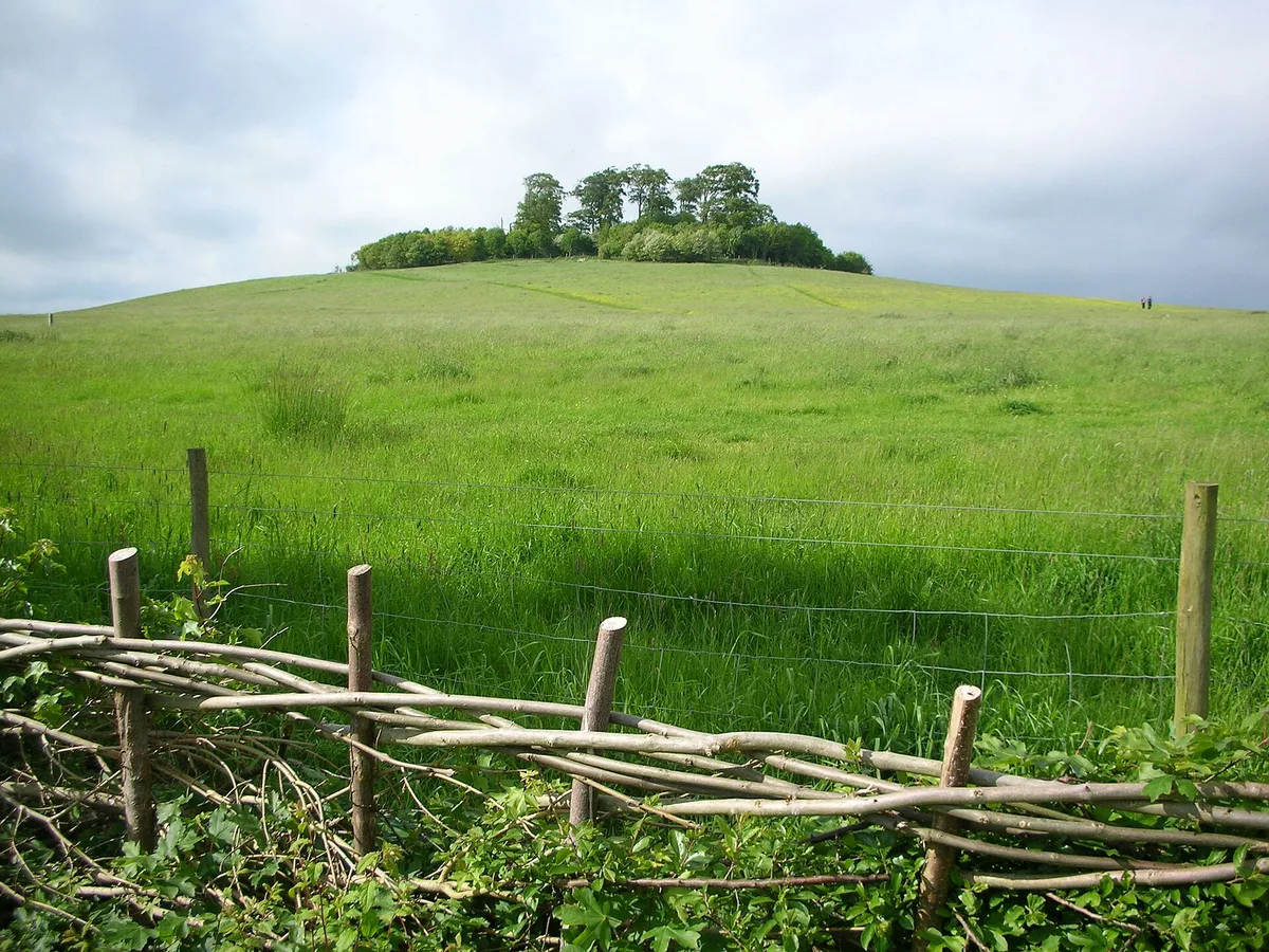 Wittenham Clumps — Landmark, Nearby, Oxford