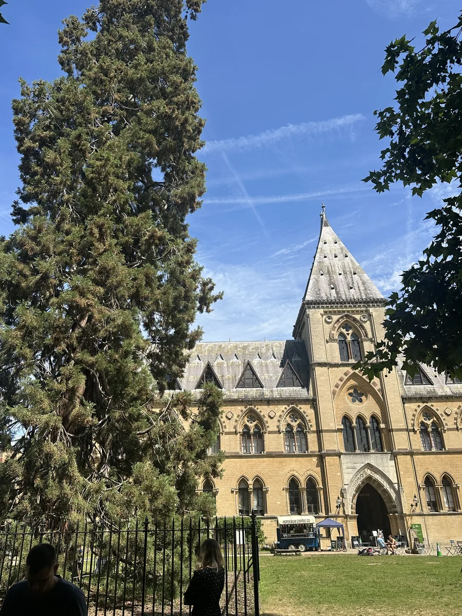 The cedar tree in front of the Gothic Revival facade of the Oxford University Museum of Natural History