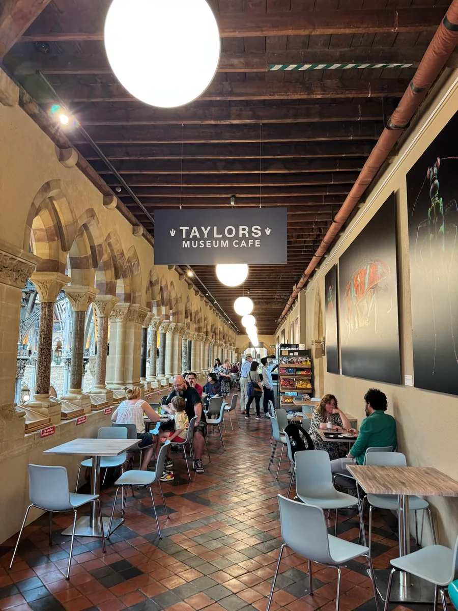 Taylors Museum Cafe at the Oxford University Museum of Natural History — a vaulted cloister arcade with stone arches, terracotta tile floor, tables and a Taylors Museum Cafe sign