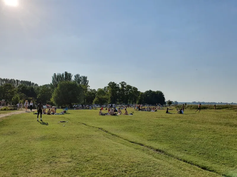 Port Meadow Running Route — Walk, Jericho, Oxford